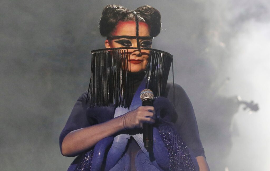 Bjork Net Worth